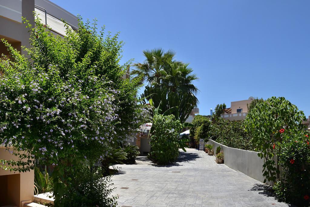 Akatos Hotel Agia Marina Dış mekan fotoğraf